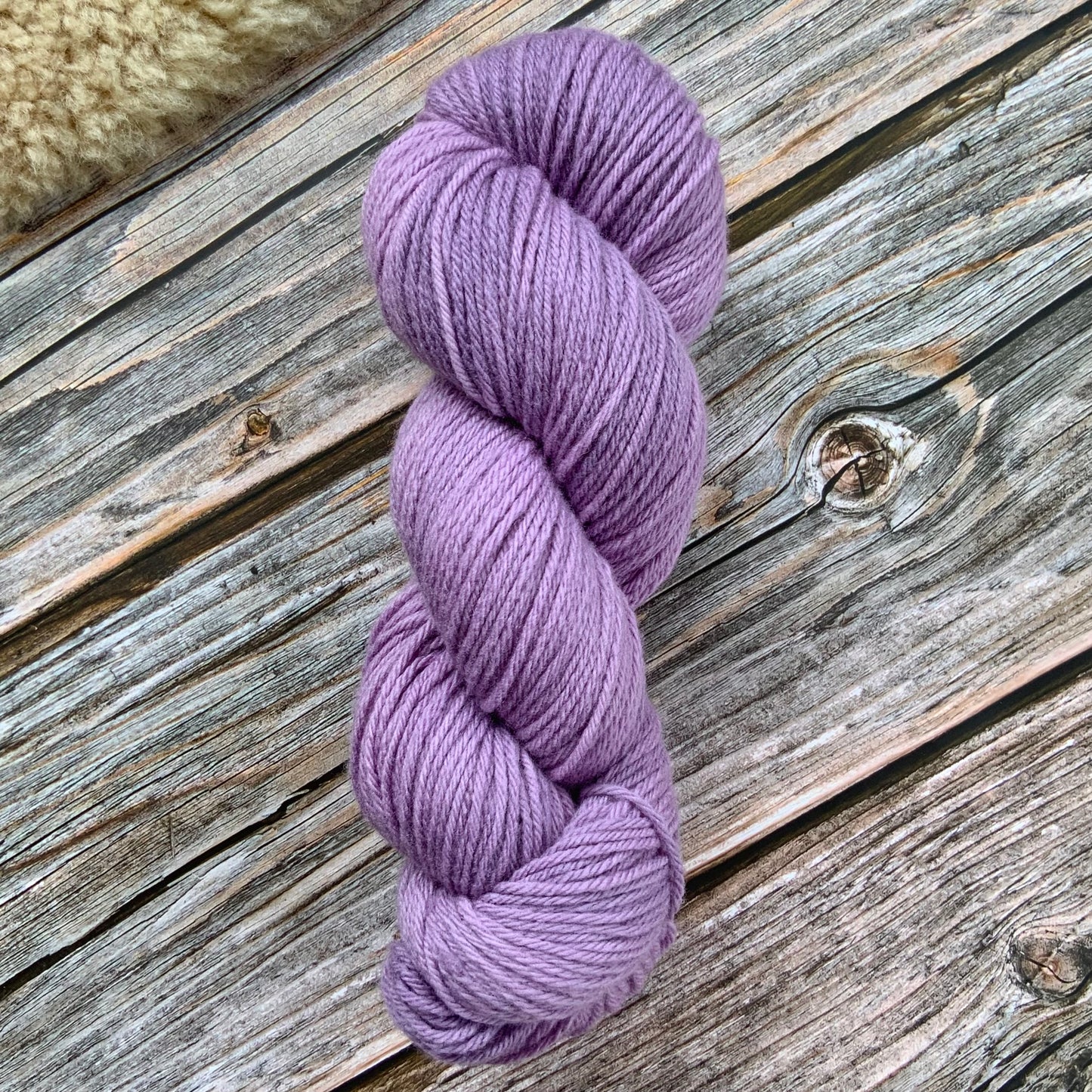 Patersonia on WGW 8ply/DK