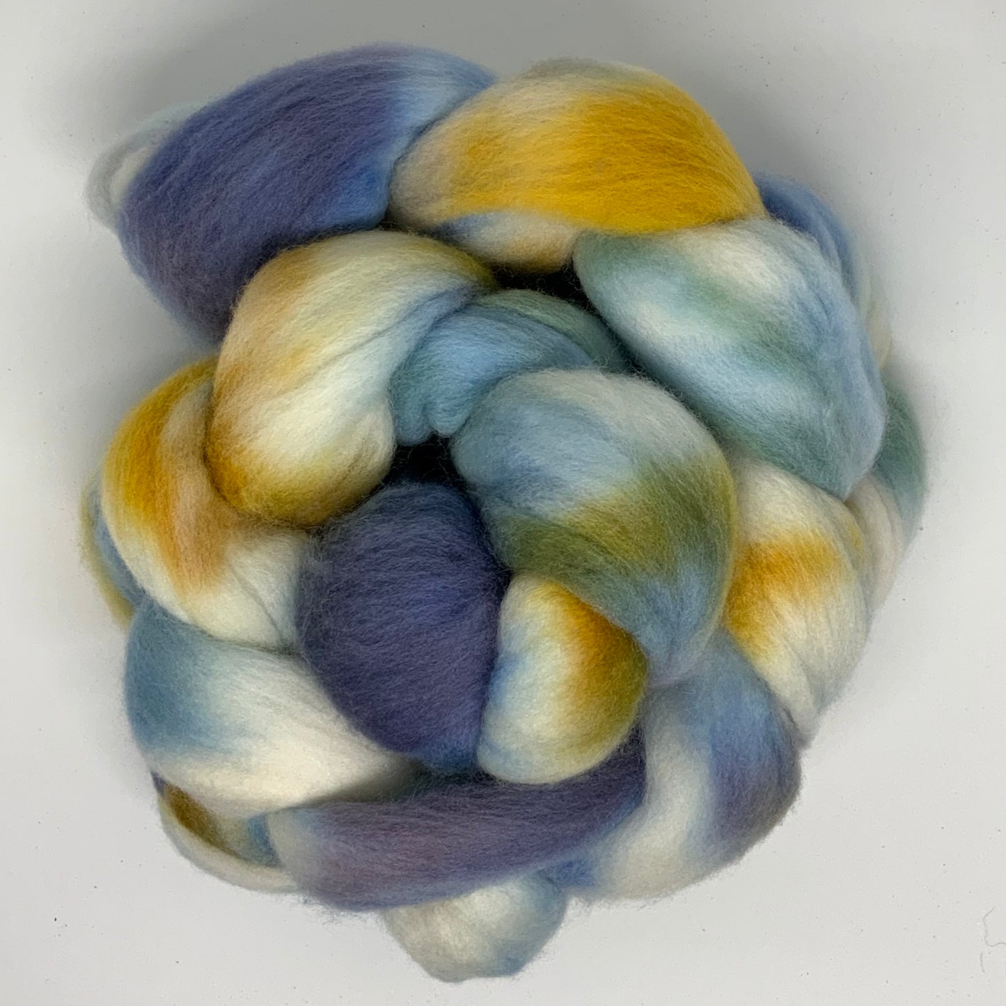 Day 30 - Australian Merino (20.4 microns)