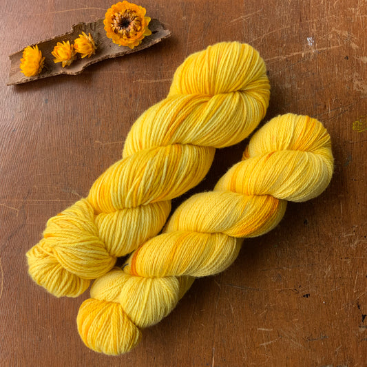 “Golden Glory” on WGW 8ply/DK